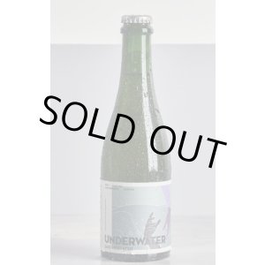 画像: 【 お一人様 ５本まで 】 Nara Brewing　UNDERWATERボトル　 375ｍl